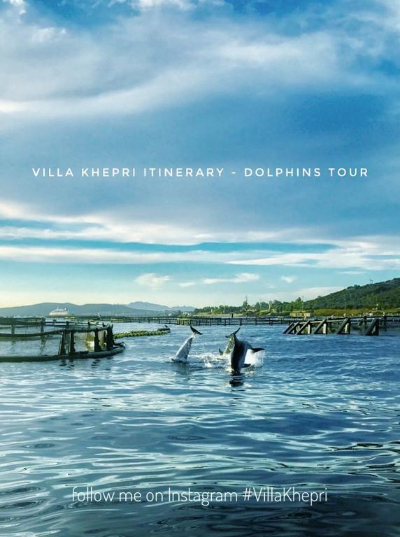 Villa Khepri Порто Ротондо Екстериор снимка